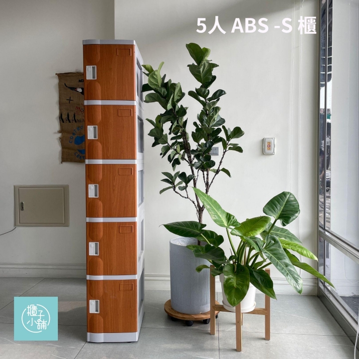10人 ABS櫃- S 木紋門板- 把手櫃新北電子式置物櫃